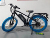 MOTOVELO RAID 20" PRO цена