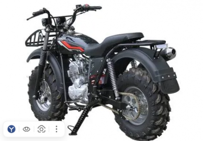 Мотоцикл внедорожный СКАУТ-10 250R (с реверсом) купить