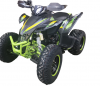 Квадроцикл Racer RC 250 Typhoon цена