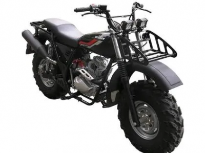 Мотоцикл внедорожный СКАУТ-10 250R (с реверсом) купить